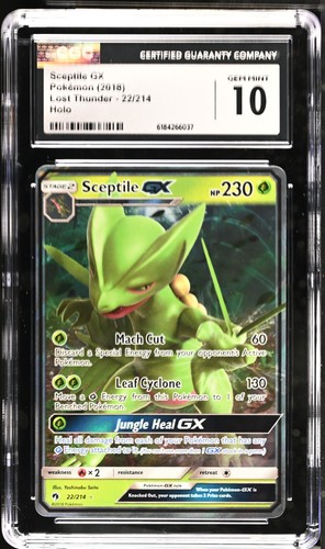 Sceptile 214 holo lost - 22/214,
