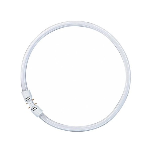 Ampoule osram 40w 830 - ampoule,