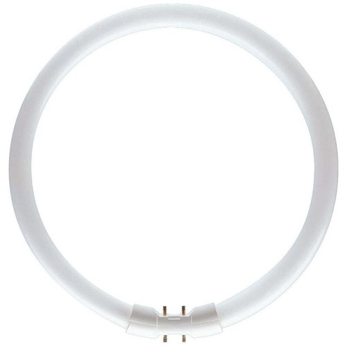 Ampoule 55w 865 circulaire - ampoule,